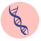 Illustration of a DNA strand